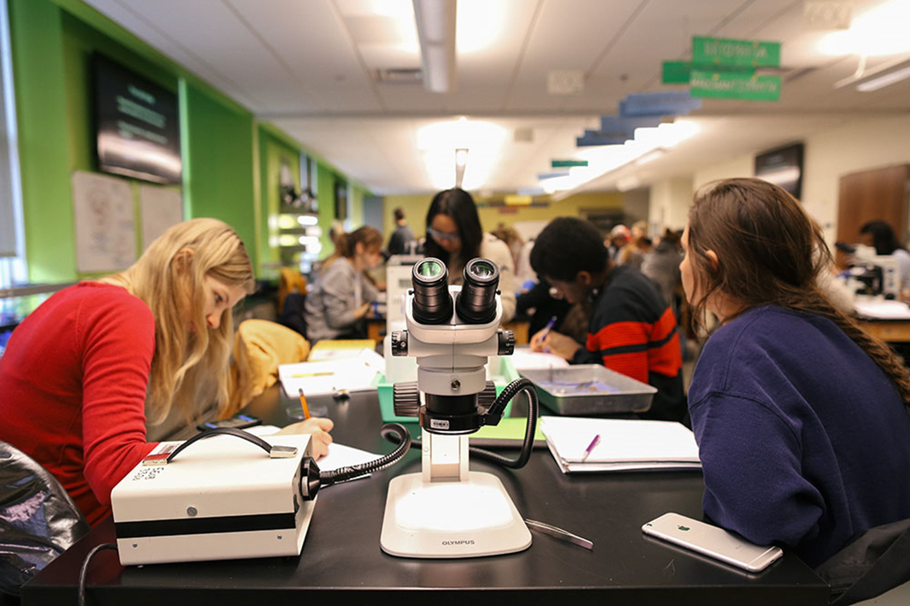 Student in a dissections laboratory in Jennings Hall